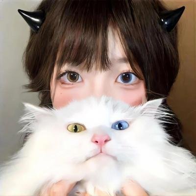 德凯奥特曼国语